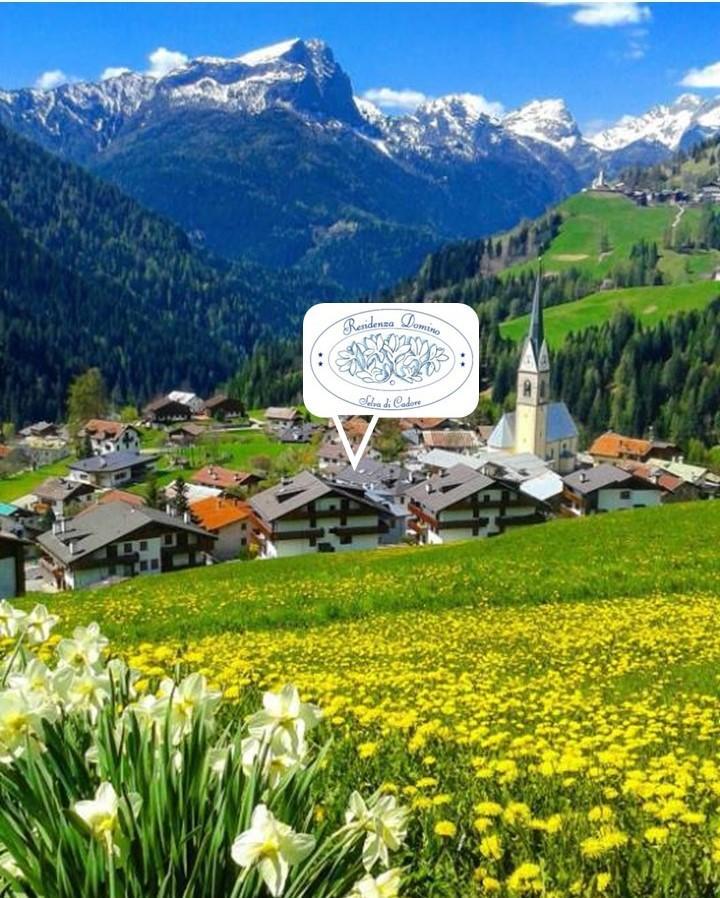 Residenza Domino Aparthotel Selva di Cadore Εξωτερικό φωτογραφία